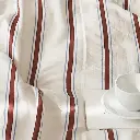 17.webp