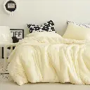 6.webp