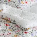 18.webp