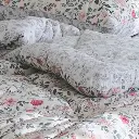14.webp