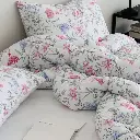 11.webp