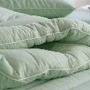 20.webp