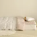 19.webp