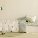 11.webp