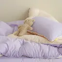 11.webp