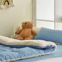 18.webp