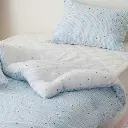 25.webp