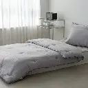 12.webp