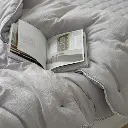 12.webp