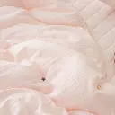 15.webp