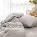 13.webp