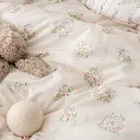 10.webp