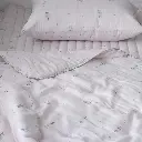 7.webp