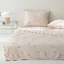 12.webp