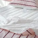 24.webp