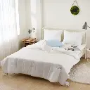 10.webp
