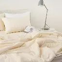 26.webp
