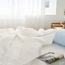 11.webp