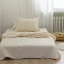 14.webp