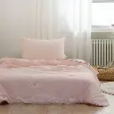 11.webp