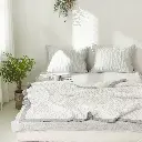 8.webp