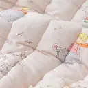 13.webp