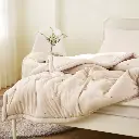 16.webp