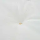 15.webp